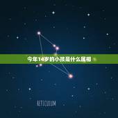 今年14岁的小孩是什么属相，2016年14岁的是属什么生肖的