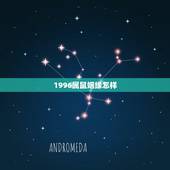 1996属鼠姻缘怎样，1996属鼠男命一生姻缘