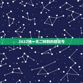 2022独一无二特别的微信号，微信2023独一无二网名