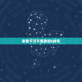 家里千万不能养的6种花，家里不能养的花有哪些