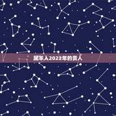 属羊人2022年的贵人，生肖羊两喜一灾2022