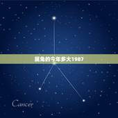 属兔的今年多大1987，1987年属兔虚岁多大2022