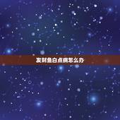 发财鱼白点病怎么办，发财鱼身上有白点怎么办