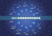 2021年属猪最招财的微信名，我属猪用什么微信名能带好运