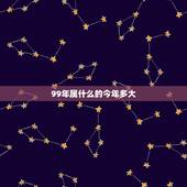 99年属什么的今年多大，96年属相是属什么的多大了