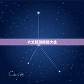 六爻预测婚姻大全，六爻预测婚姻，谢谢