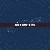 属猪上等命出生时辰，命很好的生肖猪