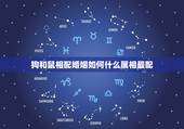 狗和鼠相配婚姻如何什么属相最配，属狗人和属鼠人相配婚姻会幸福吗