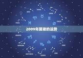 2009年属猪的运势，属猪 2009年运程