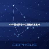 88年属龙要个什么属相的宝宝好，88年属龙的妈妈和79年属羊的爸爸生个
