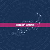 属鼠2021年桃花劫，84年七月二十三出生属鼠的男在2021年六月桃花
