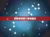 虎属相和哪个属相最合，属虎的和什么属相最配相克