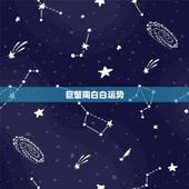 巨蟹陶白白运势，巨蟹座的运势