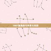 1987属兔的今年多大年龄，1987女兔命好不好