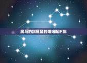 属马的跟属鼠的婚姻配不配，属马与属鼠的感情运程