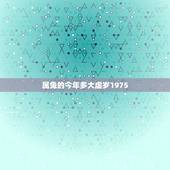 属兔的今年多大虚岁1975，1975年属兔今年多大