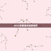 2022年属兔的运势如何，2022属兔女