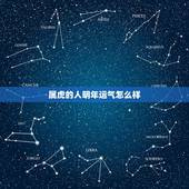 属虎的人明年运气怎么样，2021年属虎人的全年运势