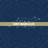 属狗11月运势2022年，属狗2021年运势及运程每月运程