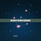 属虎的今年每月运势如何，属蛇人2022 年运势
