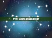 1977年属蛇微信昵称旺财，属蛇吉祥如意微信名字