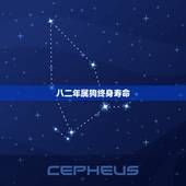 八二年属狗终身寿命，82属狗一生有几个子女