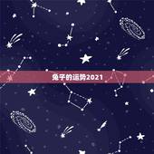 兔子的运势2021，2021兔人全年运势1987