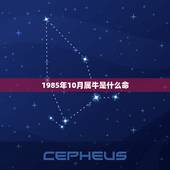 1985年10月属牛是什么命 2023属牛要小心一个人
