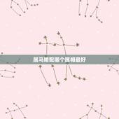 属马婚配哪个属相最好，属马和什么属相最配