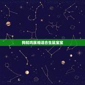 狗和鸡属相适合生鼠宝宝，属鸡和狗生个虎宝宝好不好啊？
