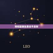 狗和鼠做生意合不合财，属狗的和属鼠人做生意和财吗