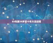 83年猪39岁后十年大运运程，1983年属猪39岁有一道坎