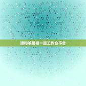猪和羊属相一起工作合不合，男属猪女属羊相配吗