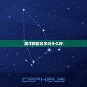 属牛微信名字叫什么好，属牛的起什么微信名最好？