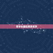 草字头最旺男孩名字，2022 男孩草字头吉利的名字