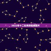 2022年十二生肖排码表图片，2022 香港生肖排码表图片