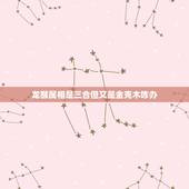 龙猴属相是三合但又是金克木咋办，属相相克如何化解