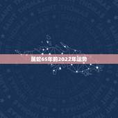 属蛇65年的2022年运势，1965年属蛇人晚年好吗
