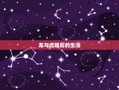 龙与虎婚后的生活，谈恋爱的技巧