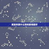属鼠的跟什么样的属相最好，属猪和属鼠生什么属相的孩子好？