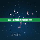 2021年招财又吉利的狗狗名字，2023招财又吉利的狗名字