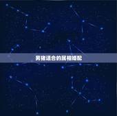 男猪适合的属相婚配，属猪男上等婚配