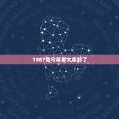 1987兔今年多大年龄了，属猪和属兔相配吗