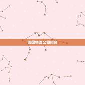 德国物流公司排名，国际物流公司排名