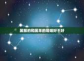 属猴的和属羊的婚姻好不好，属猴的和属羊的相配吗