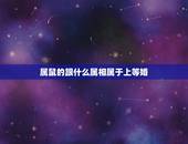 属鼠的跟什么属相属于上等婚，属鼠的和什么属相最配 属鼠的属相婚配表