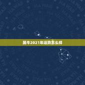 属牛2021年运势怎么样，属牛女2021年运势如何