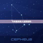 今年属虎的人运势如何，2022年属虎全年运势女