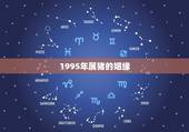 1995年属猪的姻缘，95年属猪的婚配和什么属相最好