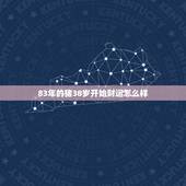 83年的猪38岁开始财运怎么样，属猪的发财年龄段